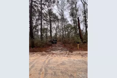 1329 Beaver Dam Ln, Bonifay, FL 32425 - Photo 6