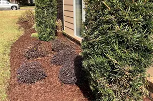 6068 S Gulf Manor Dr, Pensacola, FL 32526 - Photo 6