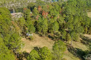7784 River Rd, Milton, FL 32583 - Photo 12