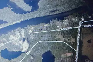 7784 River Rd, Milton, FL 32583 - Photo 16