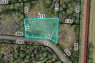 7784 River Rd, Milton, FL 32583 - Photo 6