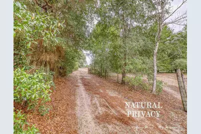 10246 Nichols Lake Rd, Milton, FL 32583 - Photo 2