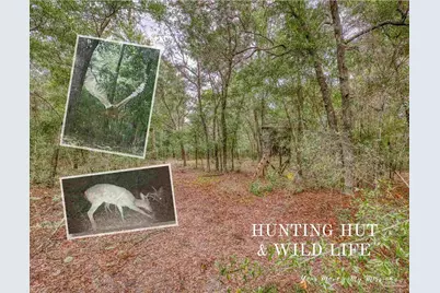 10246 Nichols Lake Rd, Milton, FL 32583 - Photo 4