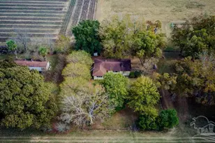 11560 N Hwy 87, Milton, FL 32570 - Photo 30