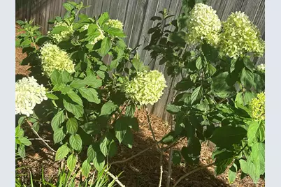 7305 Farmers Rd, Pensacola, FL 32526 - Photo 42