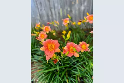 7305 Farmers Rd, Pensacola, FL 32526 - Photo 46