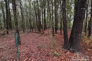 3218 Archies Way, Pace, FL 32571 - Photo 2