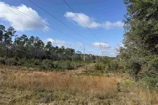 000 Hwy 95 A, Cantonment, FL 32533 - Photo 4