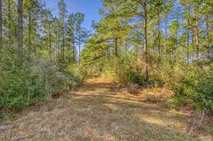 9327 3 Hollow Rd, Jay, FL 32565 - Photo 34