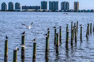 1810 Sea Pines Ln, Navarre, FL 32566 - Photo 64