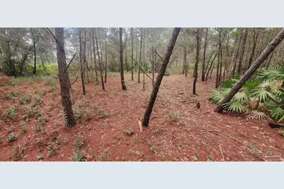 8781 Olivera St, Navarre, FL 32566 - Photo 1