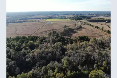 205 Varnum Rd, Laurel Hill, FL 32567 - Photo 6