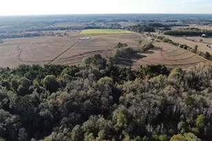 205 Varnum Rd, Laurel Hill, FL 32567 - Photo 6