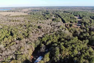 205 Varnum Rd, Laurel Hill, FL 32567 - Photo 10