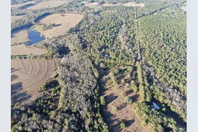 205 Varnum Rd, Laurel Hill, FL 32567 - Photo 12