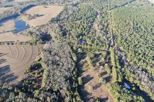 205 Varnum Rd, Laurel Hill, FL 32567 - Photo 12