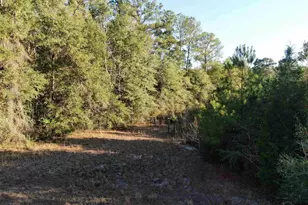 205 Varnum Rd, Laurel Hill, FL 32567 - Photo 22