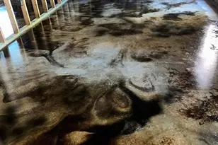 6809 Twister Ln, Milton, FL 32583 - Photo 4