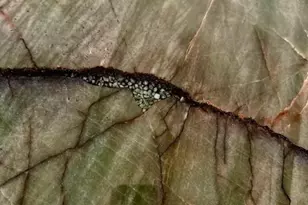 6809 Twister Ln, Milton, FL 32583 - Photo 6