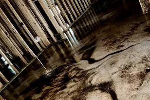 6809 Twister Ln, Milton, FL 32583 - Photo 6