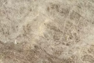 6793 Twister Ln, Milton, FL 32583 - Photo 6