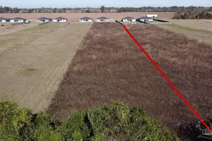 3549 Godwin Rd, Jay, FL 32565 - Photo 6