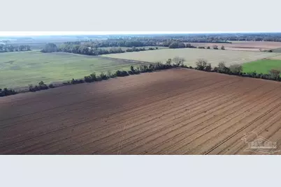 3549 Godwin Rd, Jay, FL 32565 - Photo 44