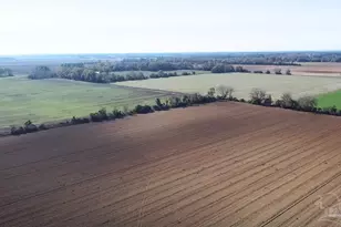 3549 Godwin Rd, Jay, FL 32565 - Photo 44