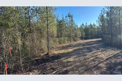Lot 55 Straw Bridge Rd, Jay, FL 32565 - Photo 6