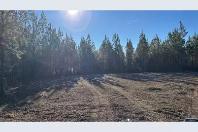 Lot 55 Straw Bridge Rd, Jay, FL 32565 - Photo 2