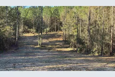 Lot 57 Straw Bridge Rd, Jay, FL 32565 - Photo 6