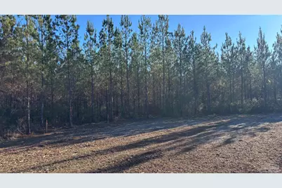 Lot 57 Straw Bridge Rd, Jay, FL 32565 - Photo 4