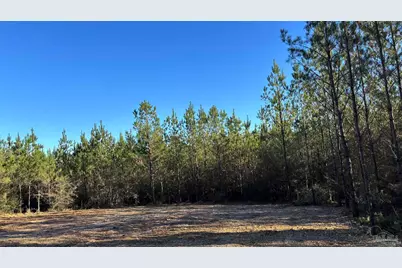 Lot 58 Straw Bridge Rd, Jay, FL 32565 - Photo 2