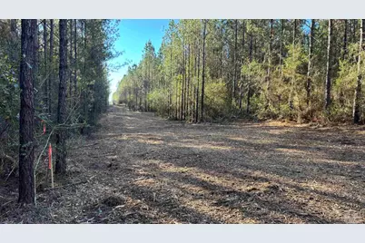 Lot 58 Straw Bridge Rd, Jay, FL 32565 - Photo 4