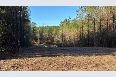 Lot 58 Straw Bridge Rd, Jay, FL 32565 - Photo 1