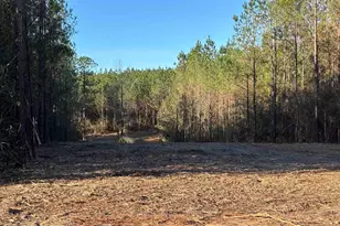 Lot 58 Straw Bridge Rd, Jay, FL 32565 - Photo 1