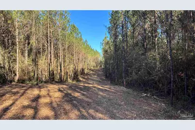 Lot 59 Straw Bridge Rd, Jay, FL 32565 - Photo 4