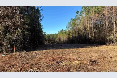 Lot 59 Straw Bridge Rd, Jay, FL 32565 - Photo 1