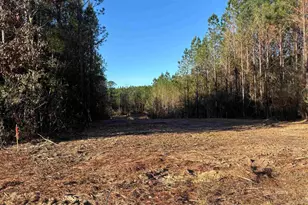 Lot 59 Straw Bridge Rd, Jay, FL 32565 - Photo 1