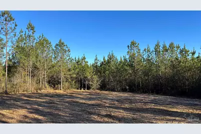 Lot 59 Straw Bridge Rd, Jay, FL 32565 - Photo 2