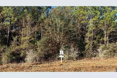 Lot 61 Straw Bridge Rd, Jay, FL 32565 - Photo 2