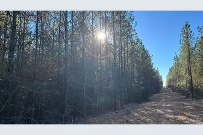 Lot 61 Straw Bridge Rd, Jay, FL 32565 - Photo 4