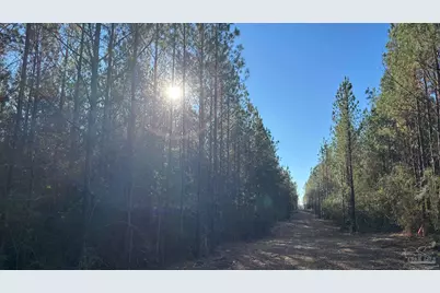 Lot 62 Straw Bridge Rd, Allentown, FL 32565 - Photo 4