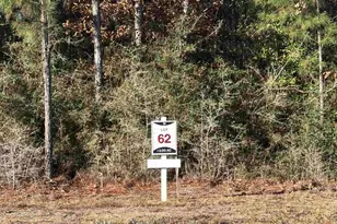 Lot 62 Straw Bridge Rd, Jay, FL 32565 - Photo 1