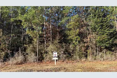 Lot 62 Straw Bridge Rd, Allentown, FL 32565 - Photo 2