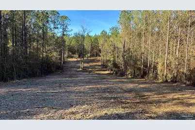 Lot 69 Straw Bridge Rd, Allentown, FL 32565 - Photo 4