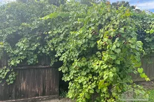 4407 Havre Way, Pensacola, FL 32505 - Photo 32