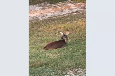 5900 Riverchase Rd, Milton, FL 32583 - Photo 44