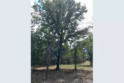 Parcel B-2 Wildlife Rd, Harold, FL 32564 - Photo 2