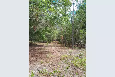 Parcel B-2 Wildlife Rd, Harold, FL 32564 - Photo 1